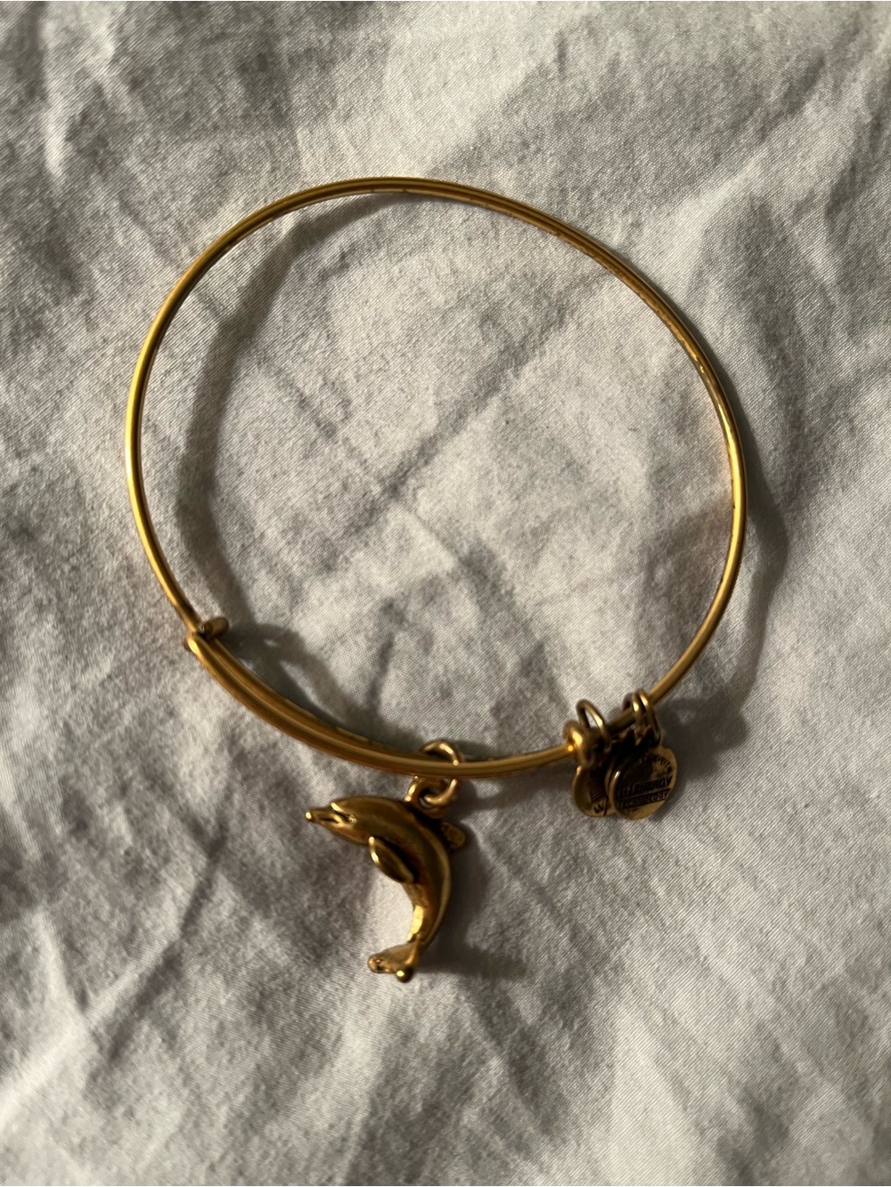 Alex and Ani Gold Dolphin Charm Bangle Bracelet